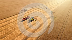 Harvester machines combines work harvest wheat in yellow or golden ripe field. Industrial agriculture, aerial view