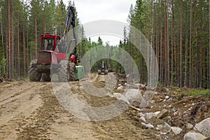 Harvester machines working in a forest moving thrue the forest track. Wood industry