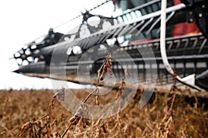 Harvester making harvesting soybean field .