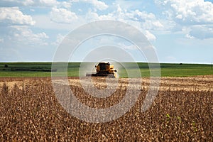 Harvester making harvesting soybean field - Mato Grosso State -