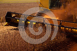 Harvester making harvesting soybean field - Mato Grosso State -