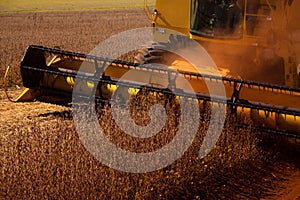 Harvester making harvesting soybean field - Mato Grosso State - photo
