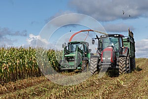 The harvester mows corn to silage