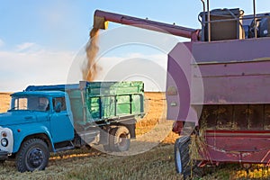 Harvester pours grain into a truck