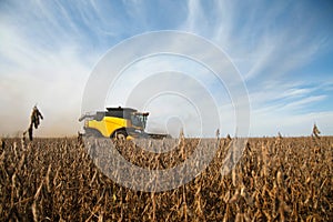 Harvester in soybean planting .