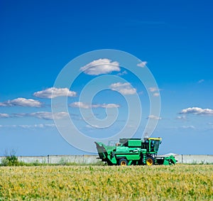 harvester among summer wheat field