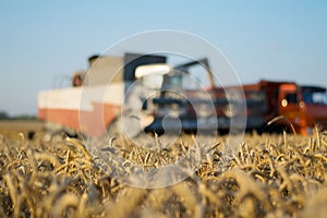 Harvester and truck at field during harvest time,
