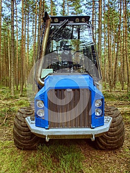 Harvester truck work in young pine forest. Skilful three axes harvester.