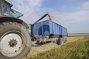 Harvester unloads wheat