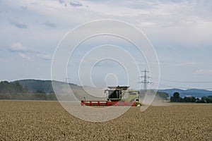 A harvester on a wheat field in summer during harvesting