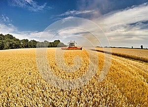 Harvester at work in summer sun