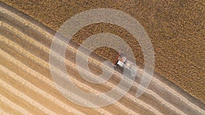 Harvester working in field and mows wheat. Ukraine. Aerial view.