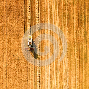 Harvester working in field and mows wheat. Ukraine. Aerial view.