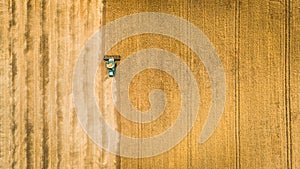 Harvester working in field and mows wheat. Ukraine. Aerial view.