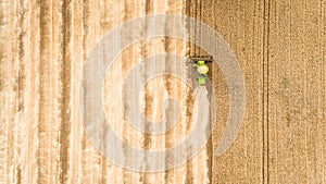 Harvester working in field and mows wheat. Ukraine. Aerial view.