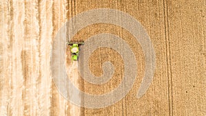 Harvester working in field and mows wheat. Ukraine. Aerial view.