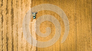 Harvester working in field and mows wheat. Ukraine. Aerial view.