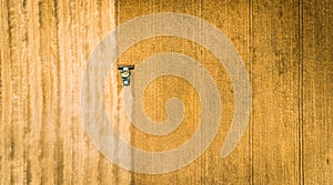 Harvester working in field and mows wheat. Ukraine. Aerial view.