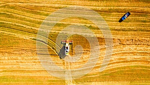 Harvester working in field and mows wheat. Ukraine. Aerial view.