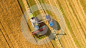 Harvester working in field and mows wheat. Ukraine. Aerial view.