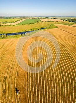 Harvester working in field and mows wheat. Ukraine. Aerial view.