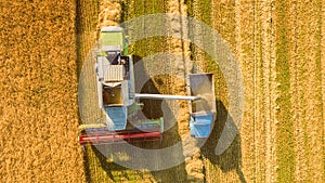 Harvester working in field and mows wheat. Ukraine. Aerial view.