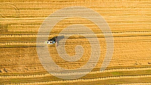 Harvester working in field and mows wheat. Ukraine. Aerial view.