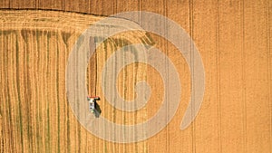 Harvester working in field and mows wheat. Ukraine. Aerial view.