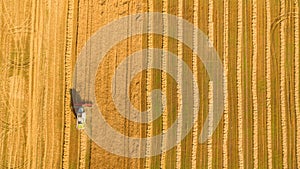 Harvester working in field and mows wheat. Ukraine. Aerial view.