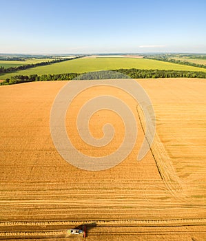 Harvester working in field and mows wheat. Ukraine. Aerial view.