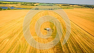 Harvester working in field and mows wheat. Ukraine. Aerial view.