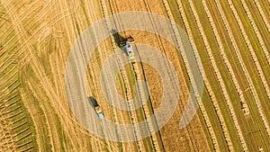 Harvester working in field and mows wheat. Ukraine. Aerial view.