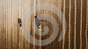 Harvester working in field and mows wheat. Ukraine. Aerial view.