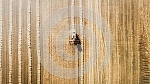 Harvester working in field and mows wheat. Ukraine. Aerial view.