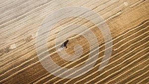 Harvester working in field and mows wheat. Ukraine. Aerial view.