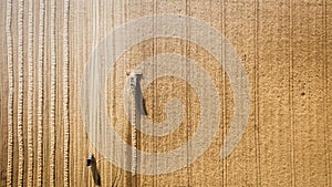 Harvester working in field and mows wheat. Ukraine. Aerial view.