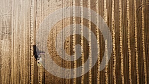 Harvester working in field and mows wheat. Ukraine. Aerial view.