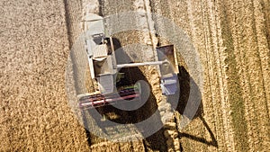 Harvester working in field and mows wheat. Ukraine. Aerial view.