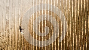 Harvester working in field and mows wheat. Ukraine. Aerial view.