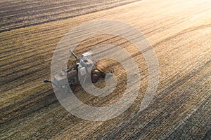 Harvester working in field and mows wheat. Ukraine. Aerial view.