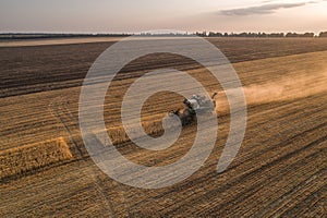 Harvester working in field and mows wheat. Ukraine. Aerial view.