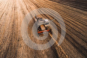 Harvester working in field and mows wheat. Ukraine. Aerial view.