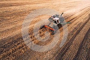 Harvester working in field and mows wheat. Ukraine. Aerial view.