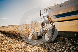 Harvester working in the fields. Farmer using combine machinery, industrial agriculture