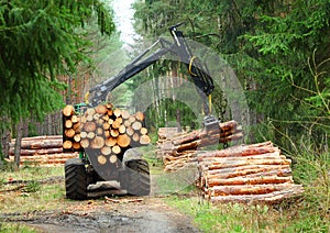 The harvester working in a forest.