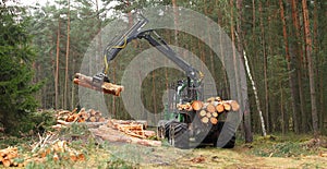 The harvester working in a forest.