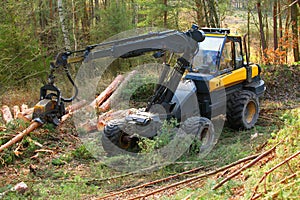 The harvester working in a forest.