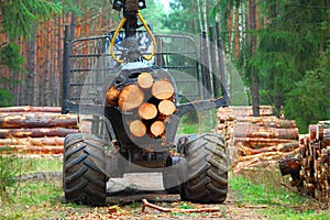 The harvester working in a forest.