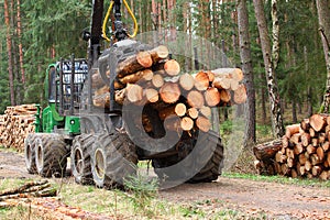 The harvester working in a forest. photo