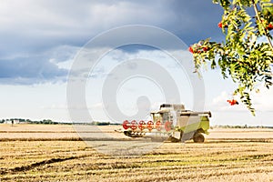 Harvester is working during harvest time in the farmers fields